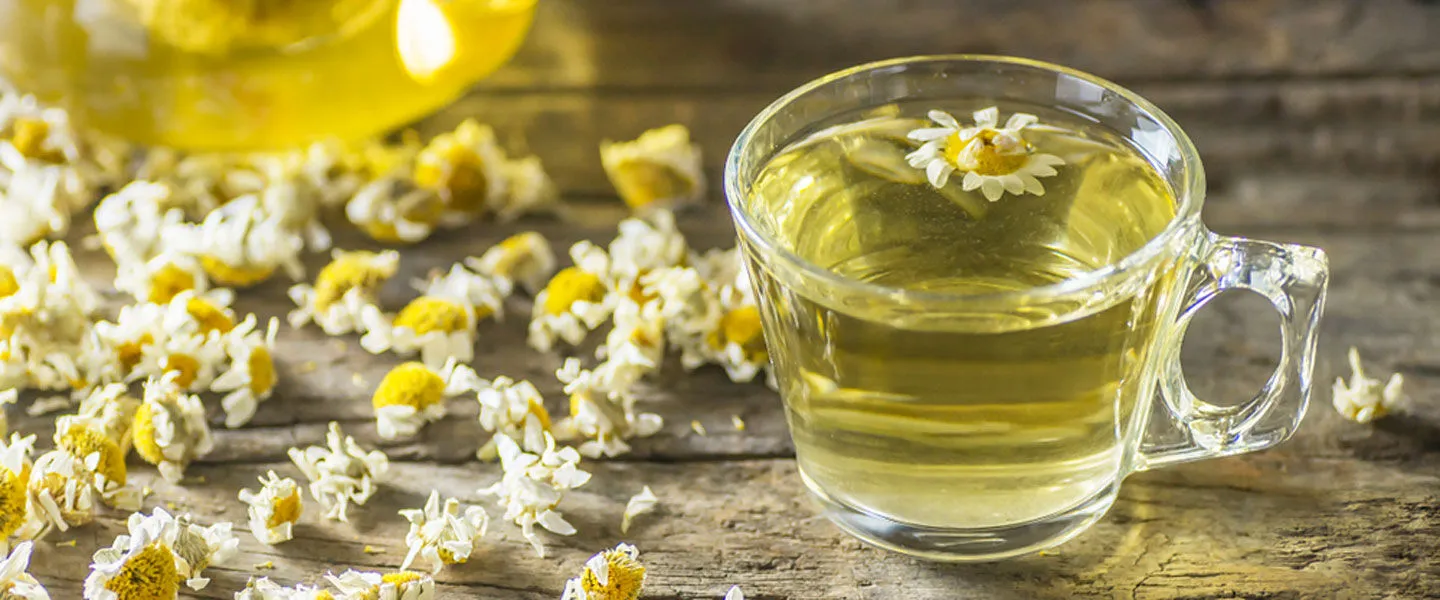 <p>PAPATYA ÇAYI </p>
